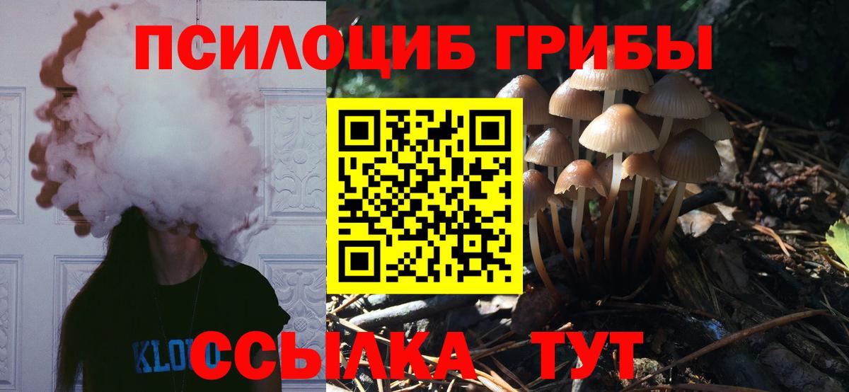 Кореновск  где найти наркотики  Вход с VPN  Псилоцибиновые грибы MAGIC MUSHROOMS  Галлюциногенные грибы GOLDEN TEACHER 