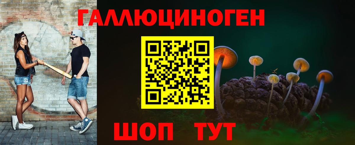 Галлюциногенные грибы GOLDEN TEACHER Кореновск